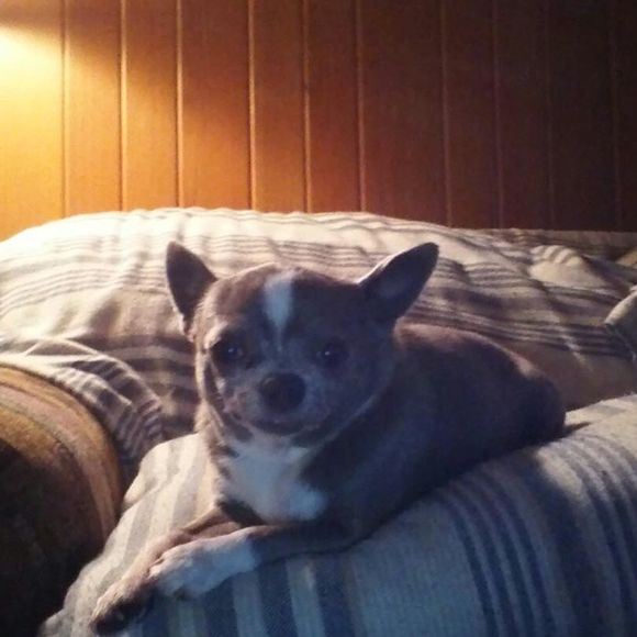 Meet your Posher, Kathleen - Picture 1 of 1